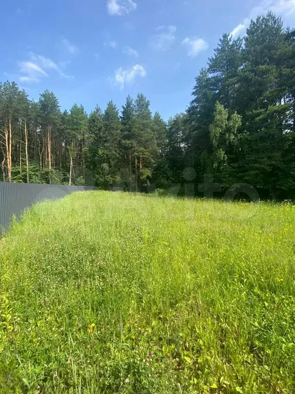 Участок 10 сот. (СНТ, ДНП) - Фото 0