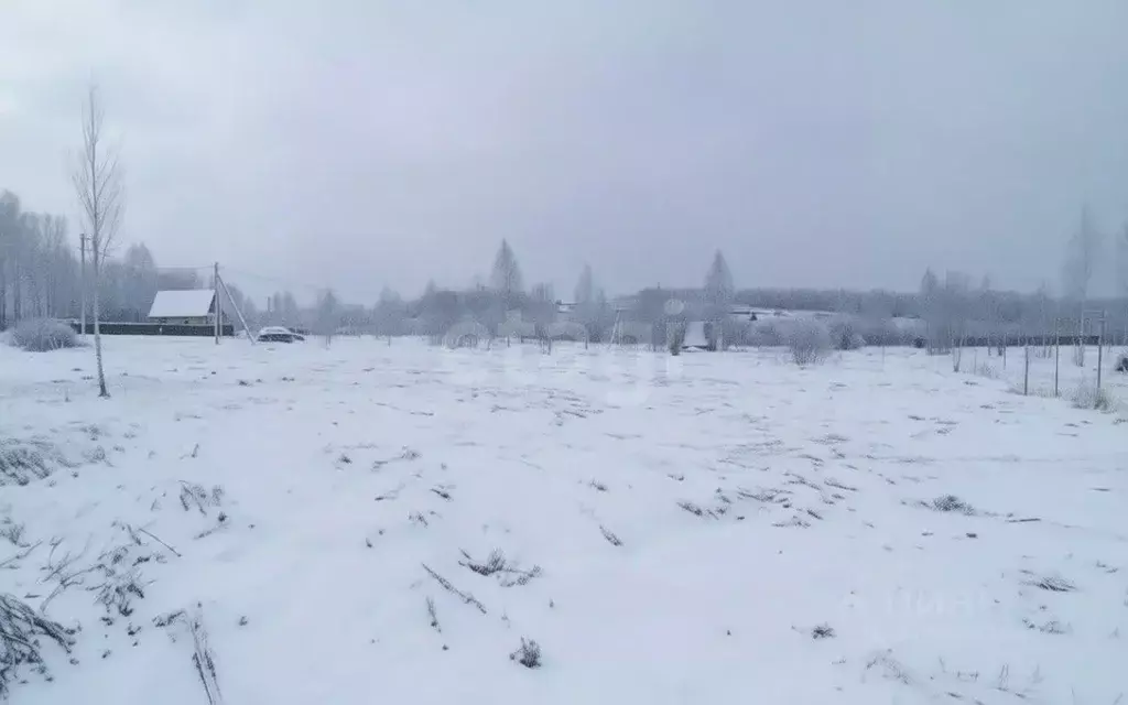 Участок в Тульская область, Тула Искра СТ, 24 (600.0 сот.) - Фото 2