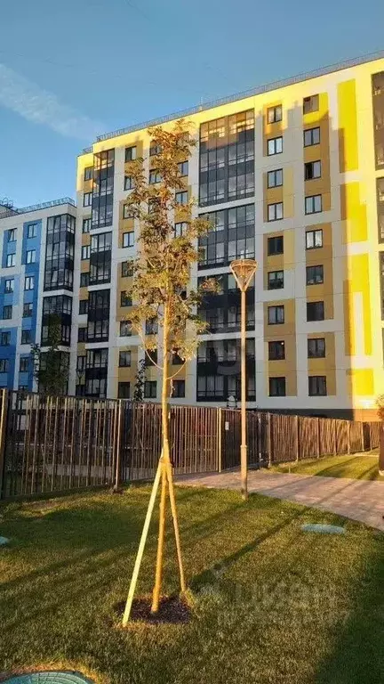 Студия Ленинградская область, Всеволожский район, Заневское городское ... - Фото 1