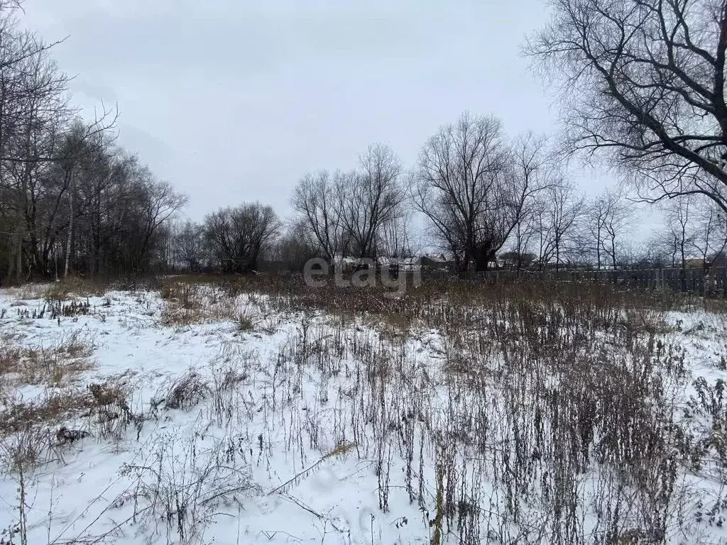 Участок в Московская область, Луховицы городской округ, д. Выкопанка  ... - Фото 1