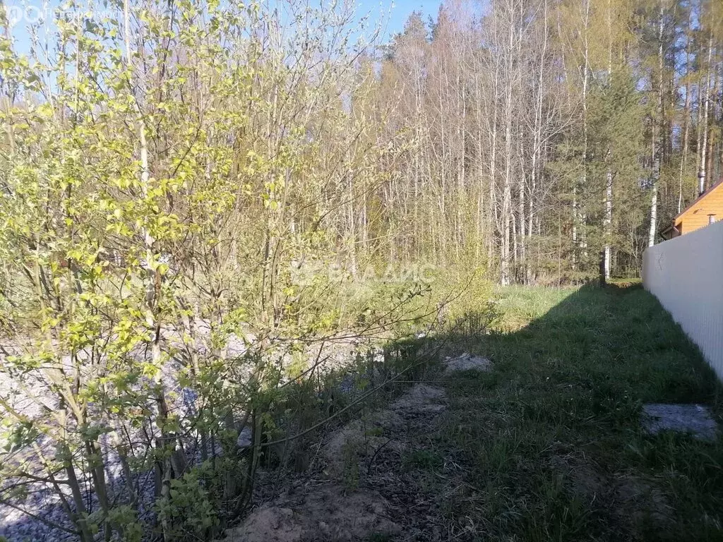 Участок в Рахьинское городское поселение, массив Проба, 138 (11 м) - Фото 1