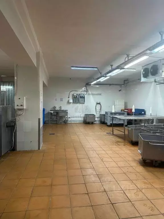 Производственное помещение в Тульская область, Киреевский район, ... - Фото 2