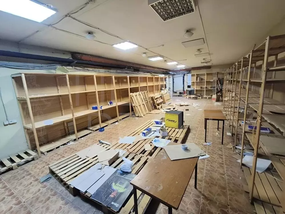 Помещение свободного назначения (252 м) - Фото 1