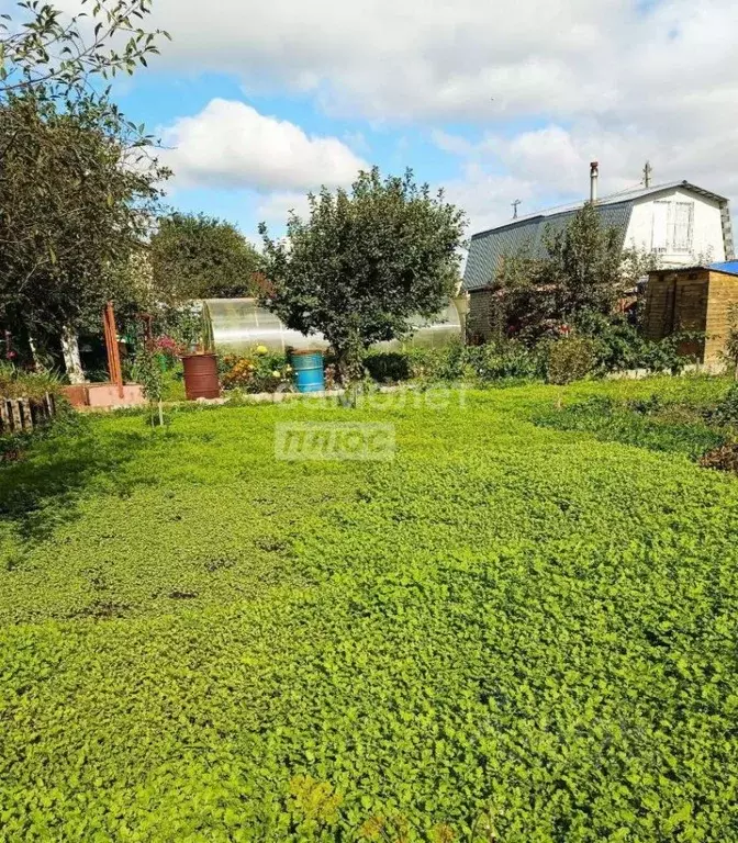 Участок в Марий Эл, Йошкар-Ола Коммунальник СНТ, 10/16 (4.0 сот.) - Фото 1