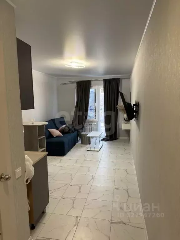 Студия Саратовская область, Энгельсский район, Красноярское ... - Фото 1