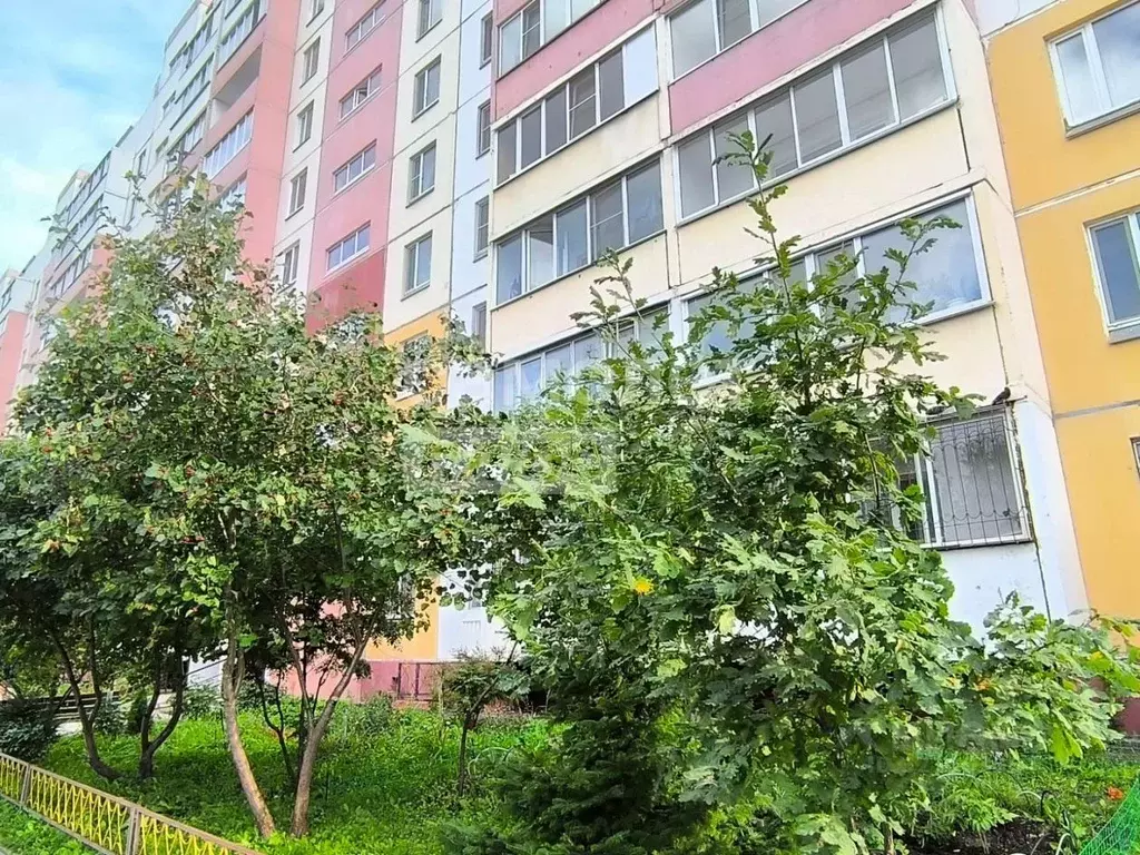 1-к кв. Омская область, Омск ул. 4-я Транспортная, 36Б (40.0 м) - Фото 2