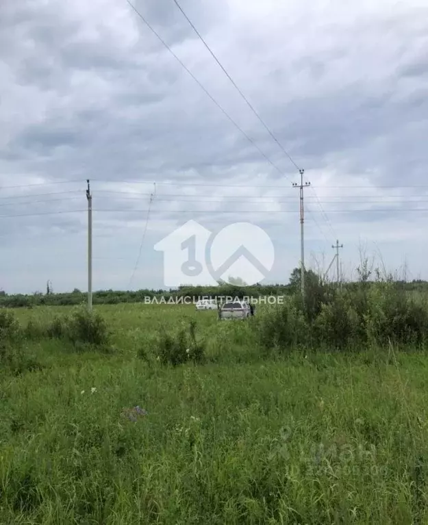 Участок в Новосибирская область, Колыванский район, Пять озер СНТ ... - Фото 1