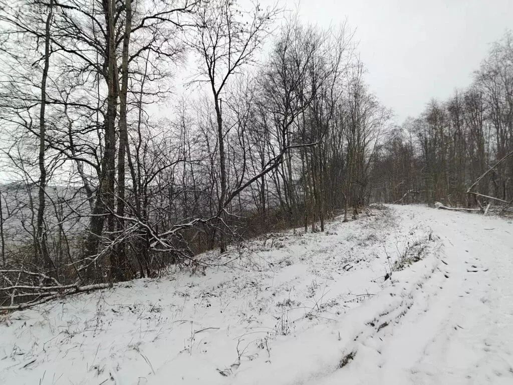 Участок в Осьминское сельское поселение, деревня Извоз (581 м) - Фото 1