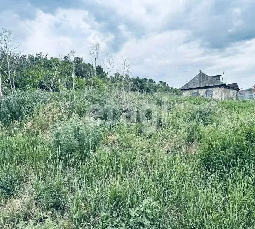 Участок в Белгородская область, Алексеевский городской округ, с. ... - Фото 0