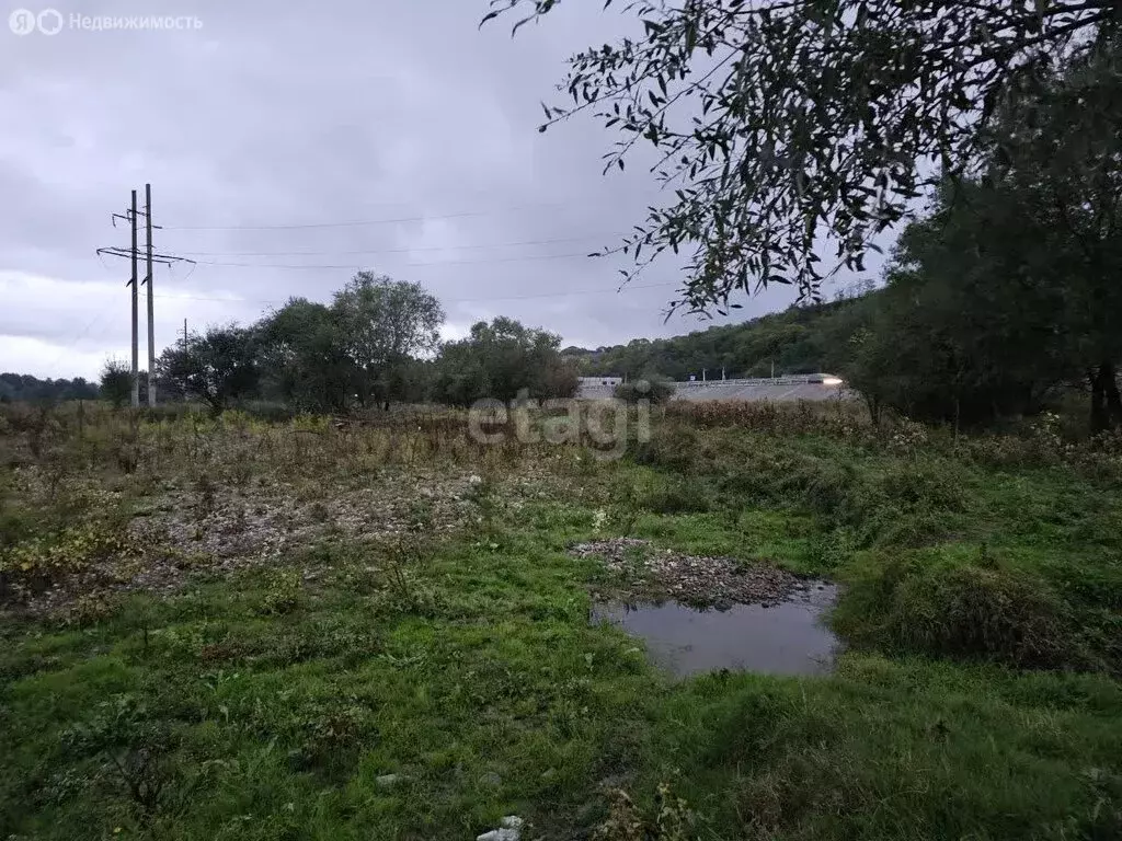 Участок в Назрановский район, сельское поселение Барсуки, село Барсуки ... - Фото 1