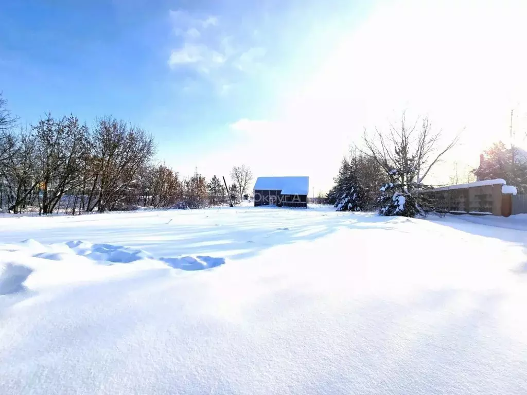 Участок в Московская область, Богородский городской округ, д. Белая ... - Фото 1