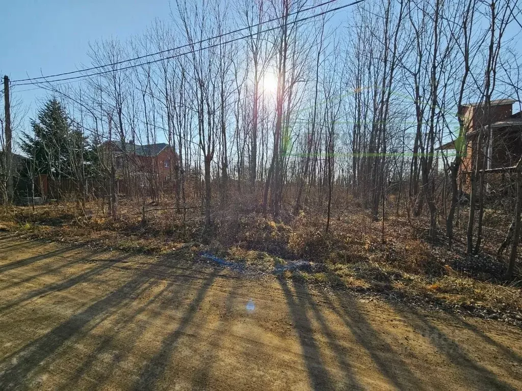 Участок в Приморский край, Артемовский городской округ, с. Ясное ул. ... - Фото 2