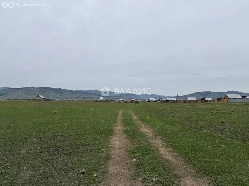 Участок в Заиграевский район, сельское поселение Дабатуйское, село ... - Фото 1