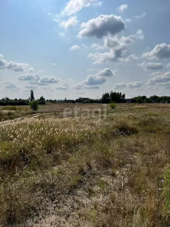Участок в Воронежская область, Борисоглебский городской округ, с. ... - Фото 1