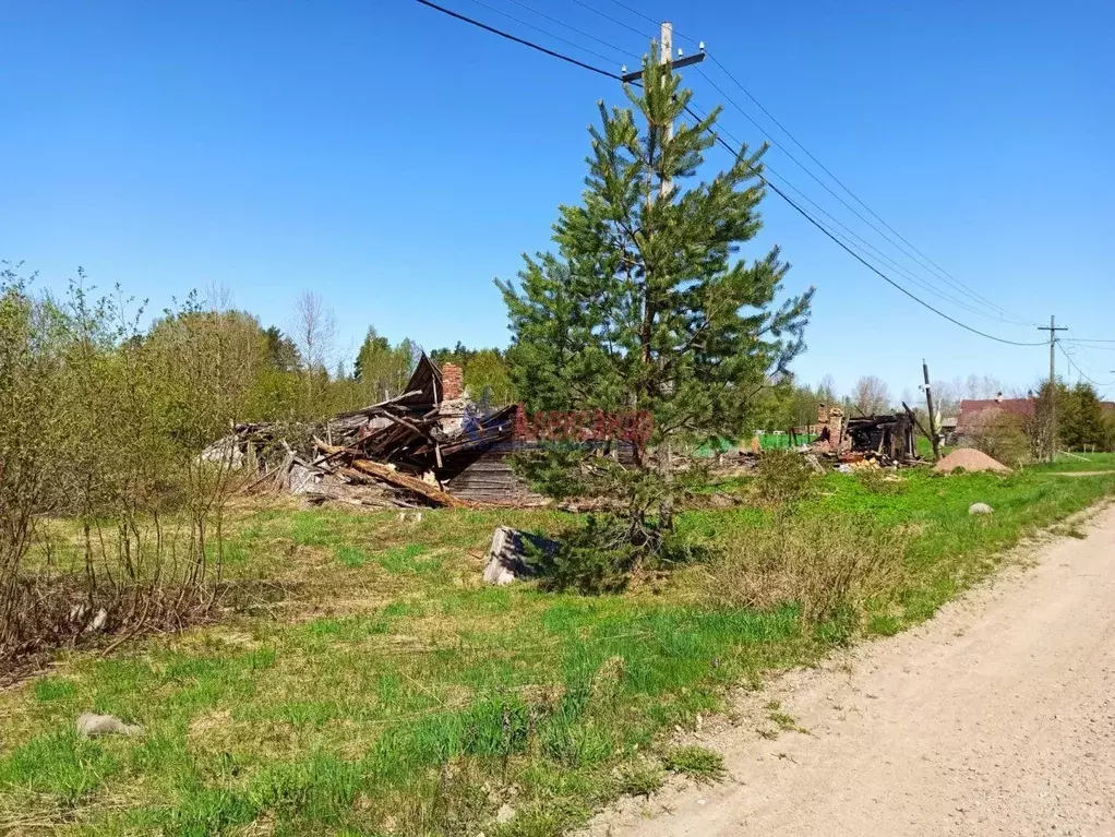 Участок в Ленинградская область, Выборгский район, Каменногорское ... - Фото 0