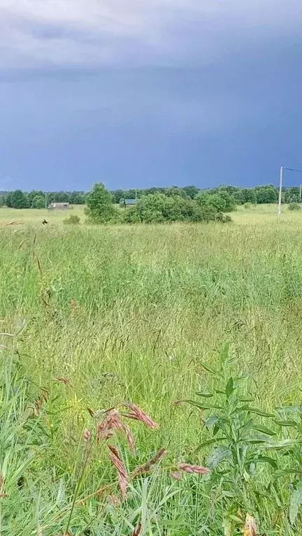Участок в Новгородская область, Новгородский район, Трубичинское ... - Фото 0