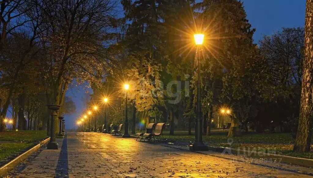 Участок в Пензенская область, Пензенский район, Мичуринский сельсовет, ... - Фото 1