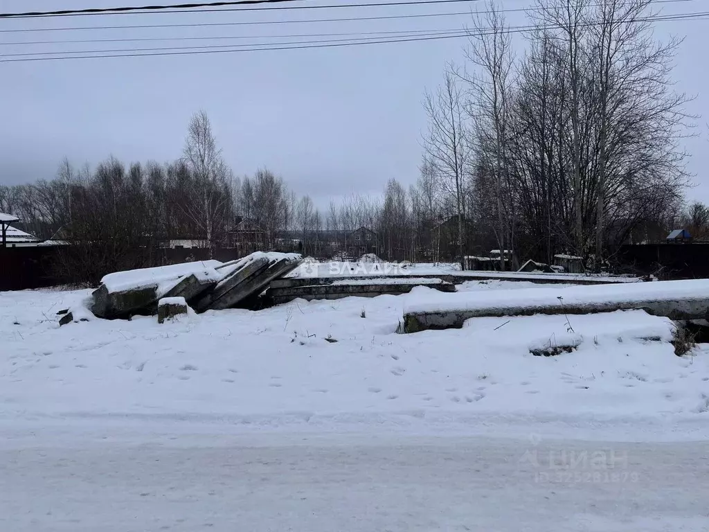 Участок в Нижегородская область, Богородский муниципальный округ, с. ... - Фото 2