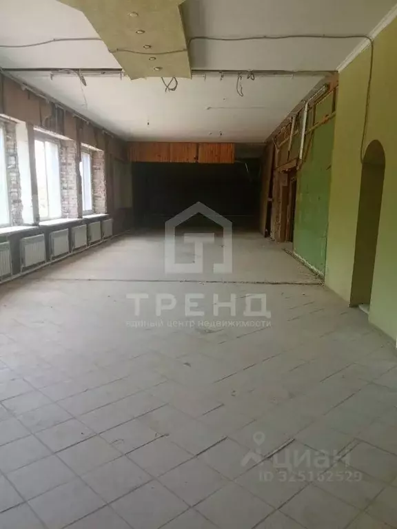 Торговая площадь в Псковская область, Пушкинские Горы рп ул. ... - Фото 2