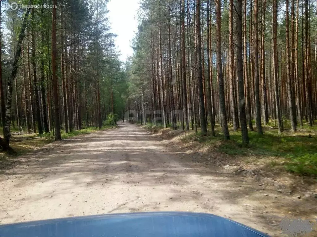 Участок в Раздольевское сельское поселение, садоводческое ... - Фото 1
