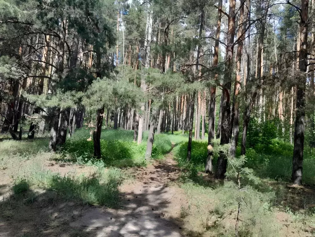 Участок в Воронежская область, Воронеж Малышево мкр,  (8.0 сот.) - Фото 1