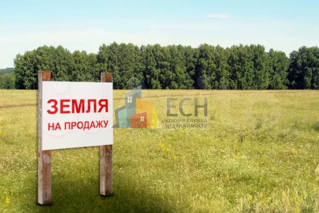 Участок 10 сот. (ИЖС) - Фото 0