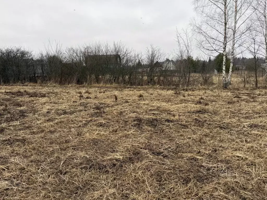 Участок в Московская область, Пушкинский городской округ, д. Якшино  ... - Фото 1