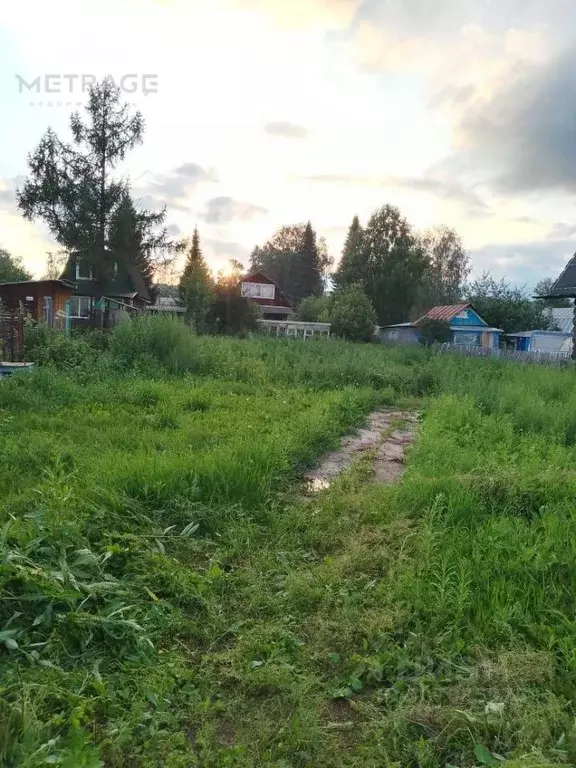 Участок в Новосибирская область, Новосибирский район, Новолуговской ... - Фото 0