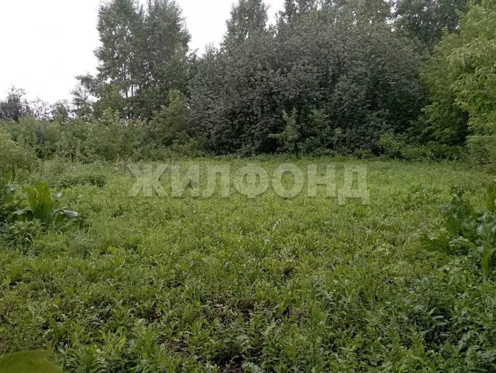Участок в Новосибирская область, Новосибирский район, с. Ярково ... - Фото 0