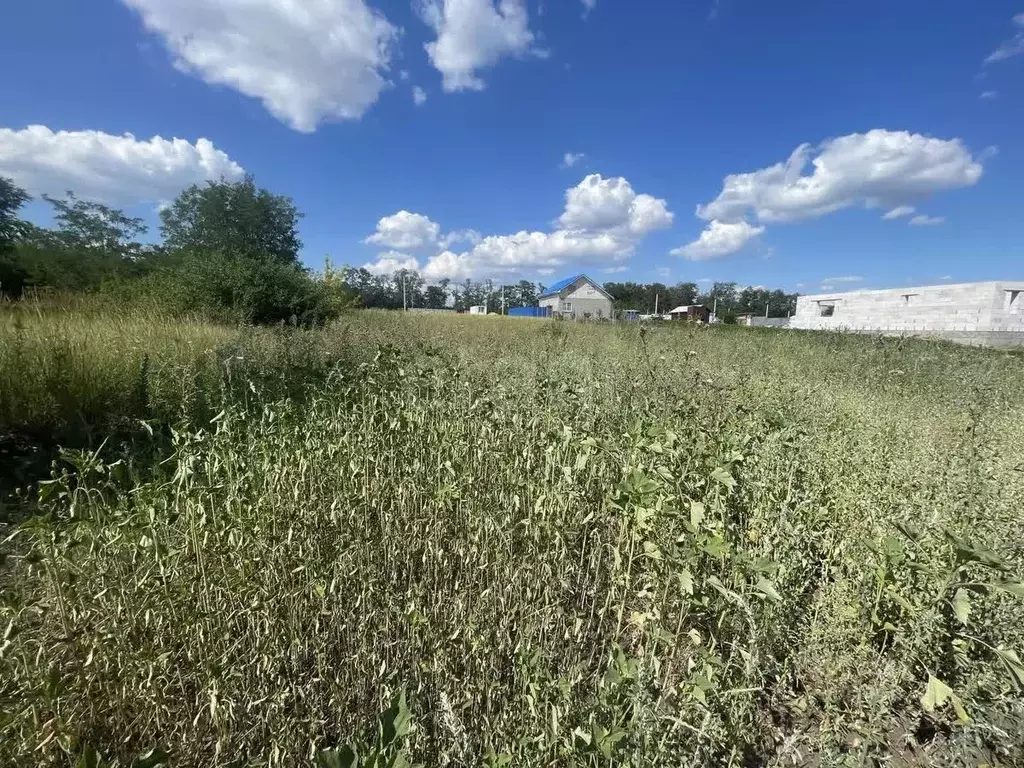 Участок в Белгородская область, Белгородский район, Разумное рп, ... - Фото 1
