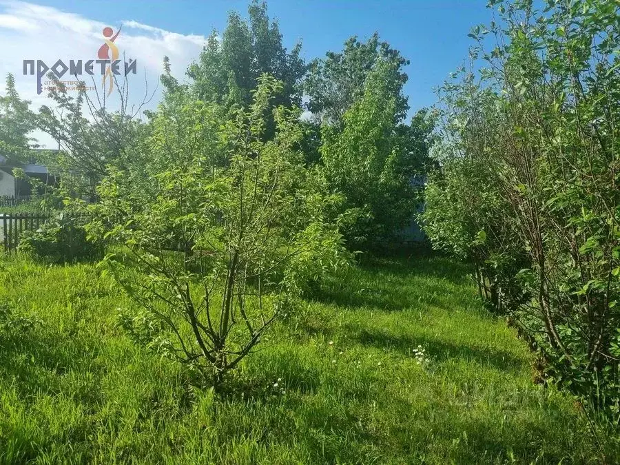 Участок в Новосибирская область, Новосибирск Зеленая долина садовое ... - Фото 1