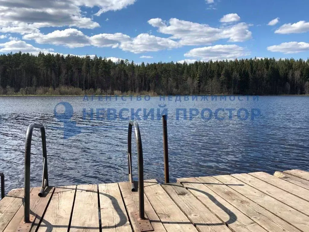 Купить Дом В Рощино Выборгский Район
