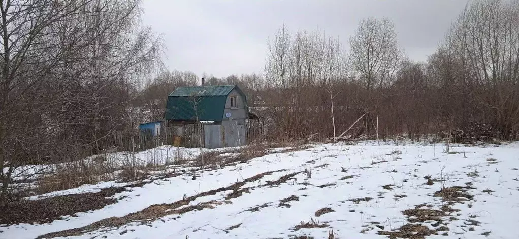 Участок в Владимирская область, Суздальский район, Новоалександровское ... - Фото 0