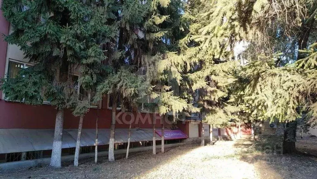 Офис в Воронежская область, Воронеж Донбасская ул., 2 (160 м) - Фото 2