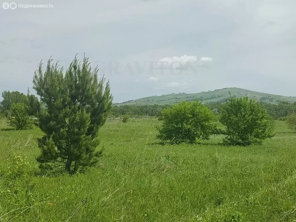 Участок в Майминский район, село Подгорное, Зелёная улица, 24 (7.5 м) - Фото 2