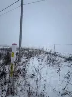Участок в Белгородская область, Корочанский район, с. Погореловка, ... - Фото 1