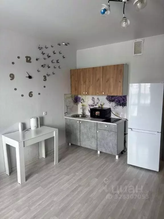 Студия Новосибирская область, Обь Октябрьская ул., 3 (24.0 м) - Фото 1