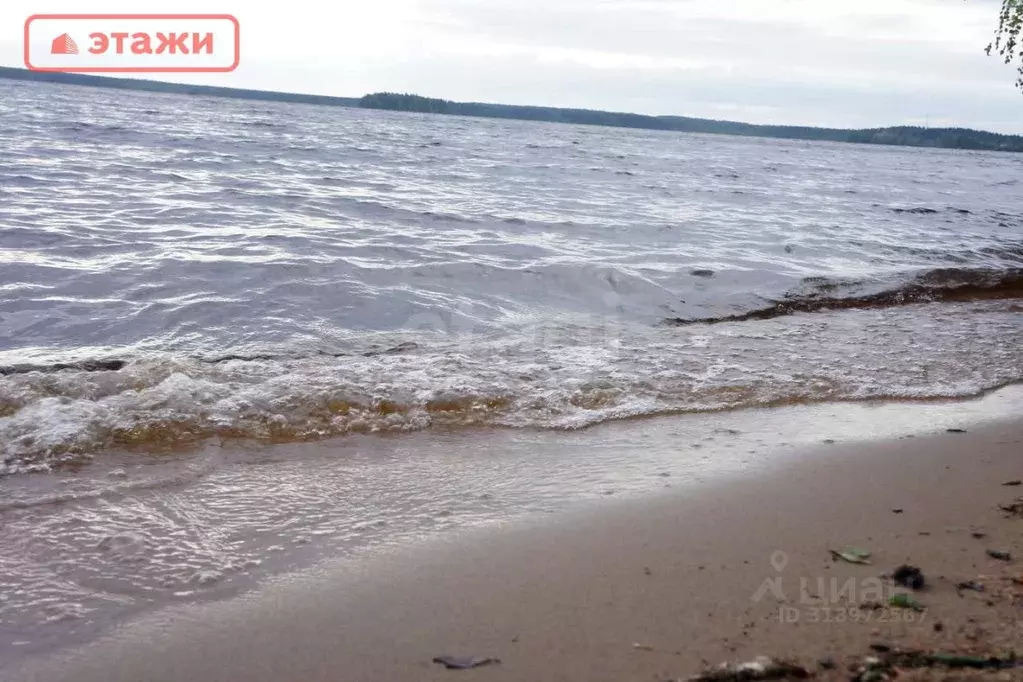 Дом в Карелия, Прионежский район, Нововилговское с/пос, Коммунальник ... - Фото 0