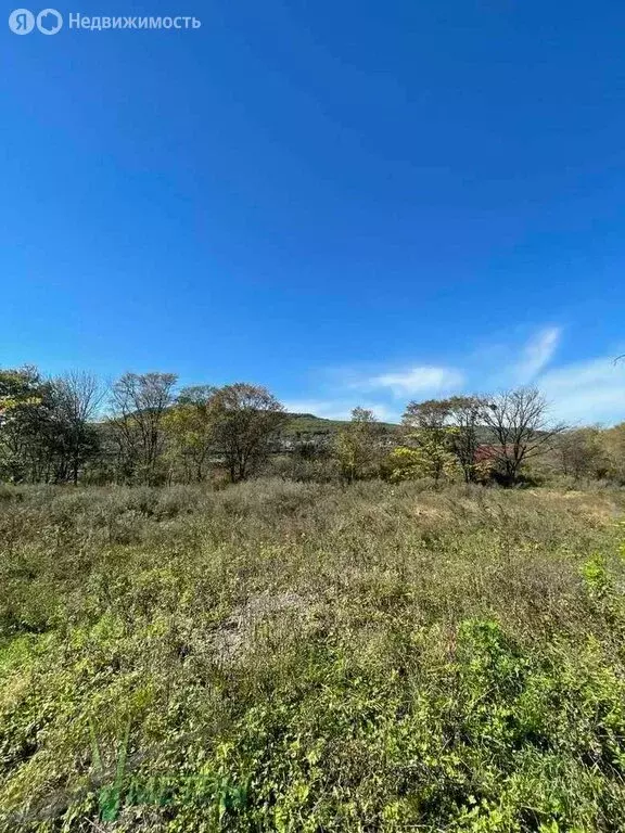 Участок в Приморский край, Шкотовский муниципальный округ, посёлок ... - Фото 2