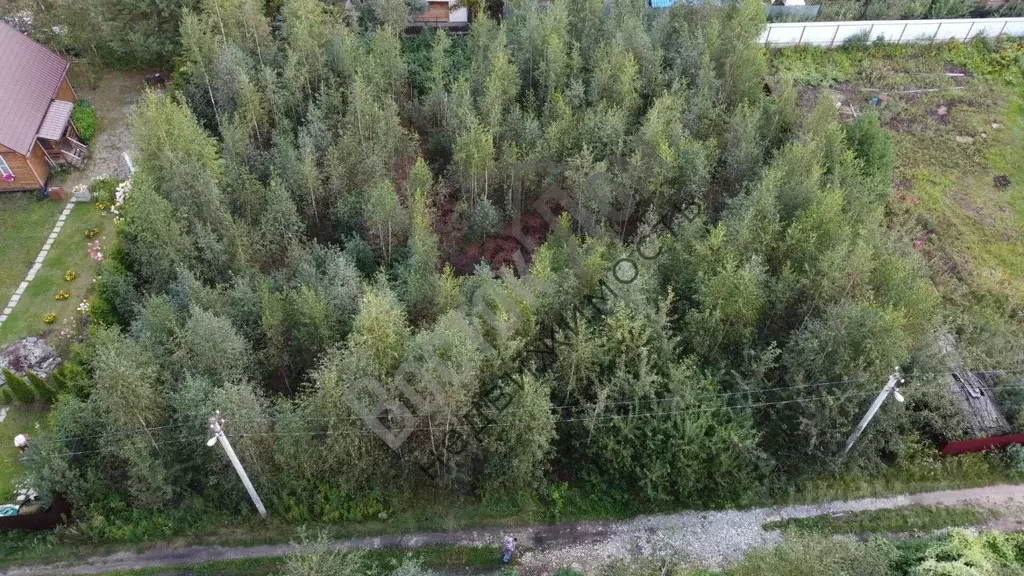 Участок в Московская область, Богородский городской округ, имени ... - Фото 1