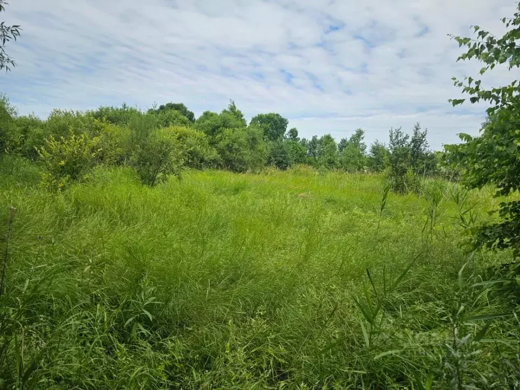 Участок в Хабаровский край, Хабаровский район, Тополевское с/пос, с. ... - Фото 2