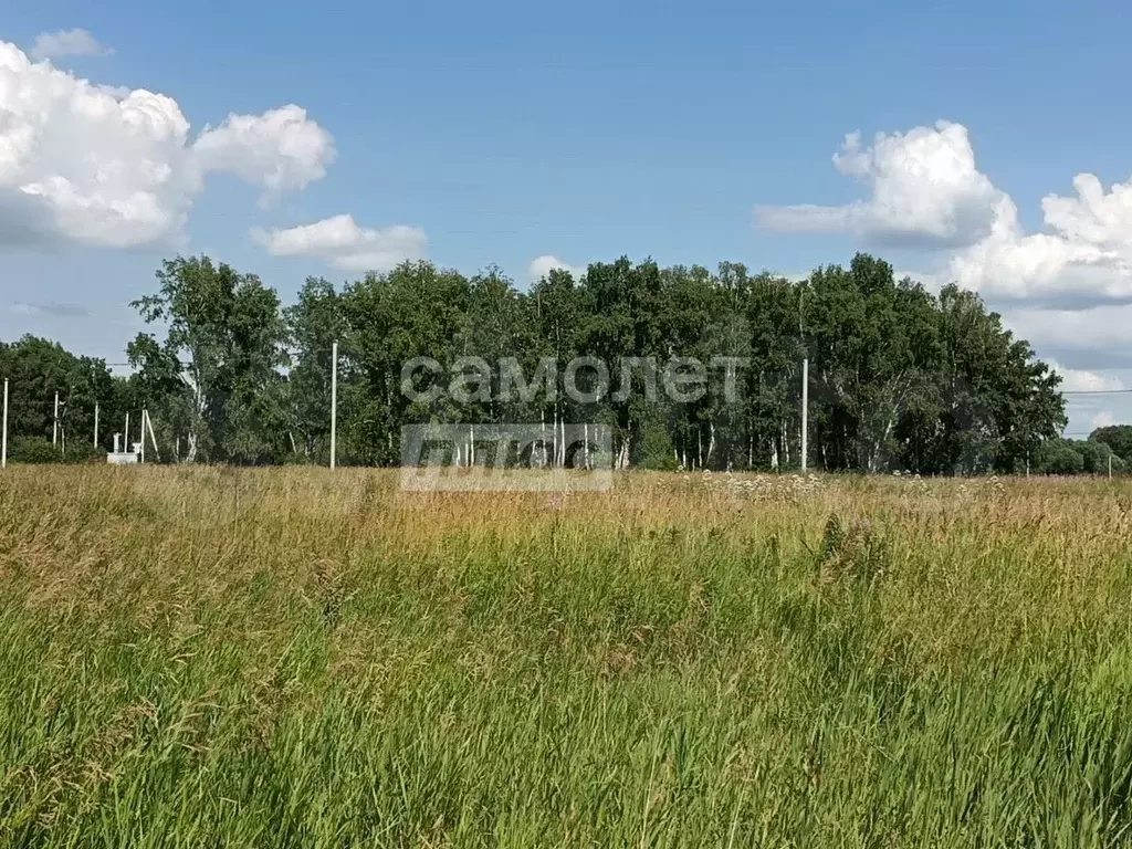 Участок 10 сот. (СНТ, ДНП) - Фото 1