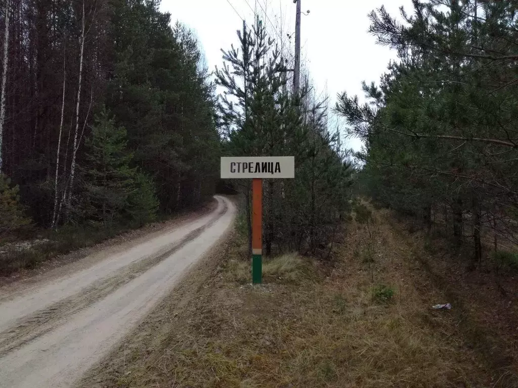 Участок в Тверская область, Весьегонский район, д. Стрелица  (9.0 ... - Фото 2
