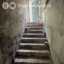 Помещение свободного назначения (350 м) - Фото 1