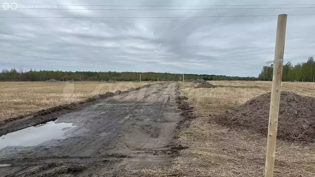 Участок в Свердловская область, Тугулымский муниципальный округ, ... - Фото 0