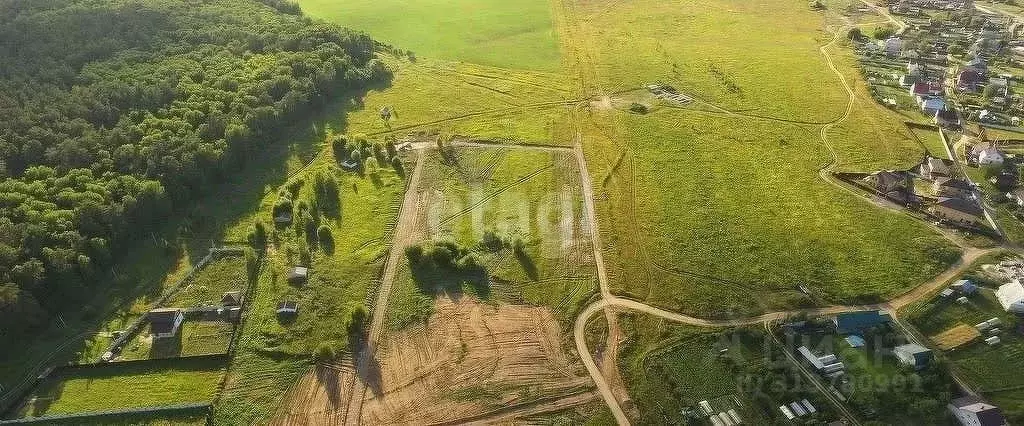 Участок в Калужская область, Калуга д. Черносвитино,  (7.0 сот.) - Фото 2