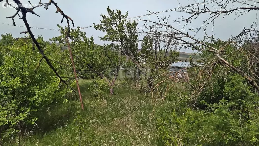 Участок в Ставрополь, садовое товарищество Родники (7.3 м) - Фото 1