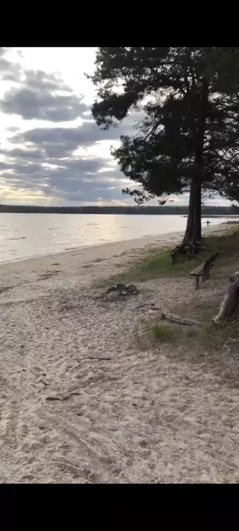 Участок в Карелия, Медвежьегорский район, Повенецкое городское ... - Фото 0