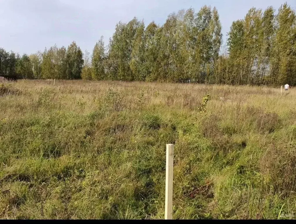 Участок в Московская область, Балашиха Курганная ул., 18 (12.0 сот.) - Фото 2
