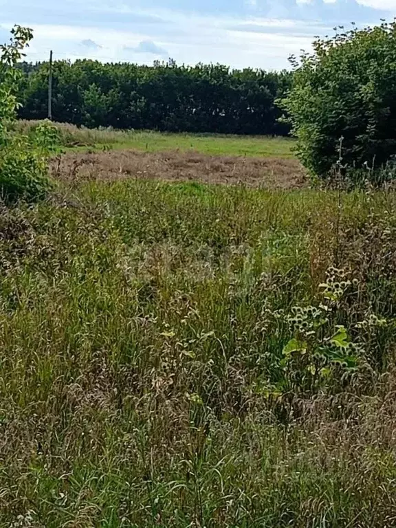 Участок в Алтайский край, Первомайский район, с. Баюновские ключи ... - Фото 1